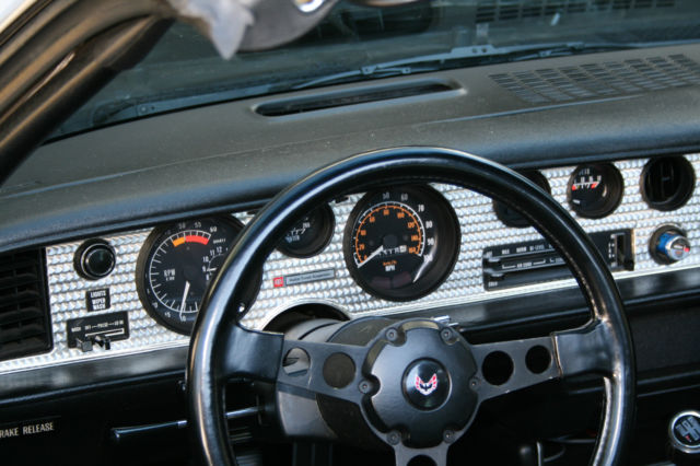 1979 Pontiac Firebird Trans AM - photo 2