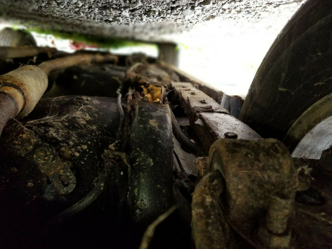 1979 Pontiac Trans Am - photo 11