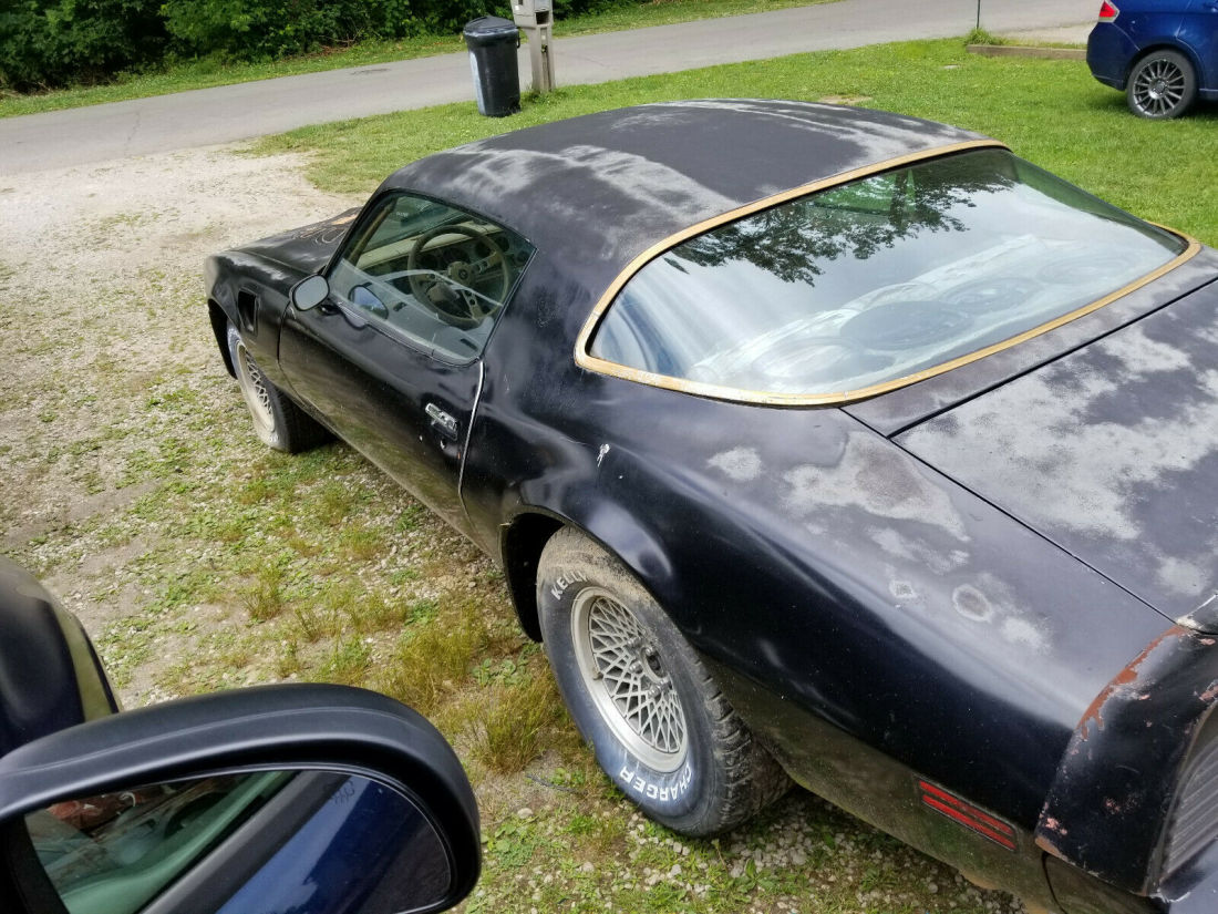 1979 Pontiac Trans Am - photo 4