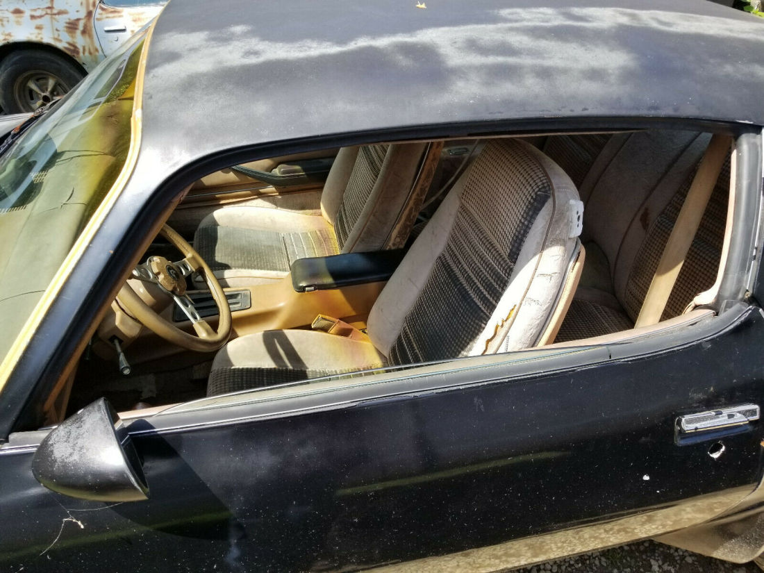 1979 Pontiac Trans Am - photo 6