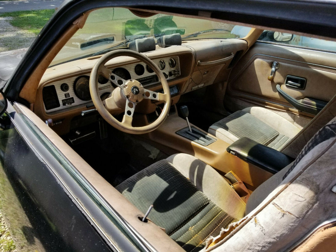 1979 Pontiac Trans Am - photo 7