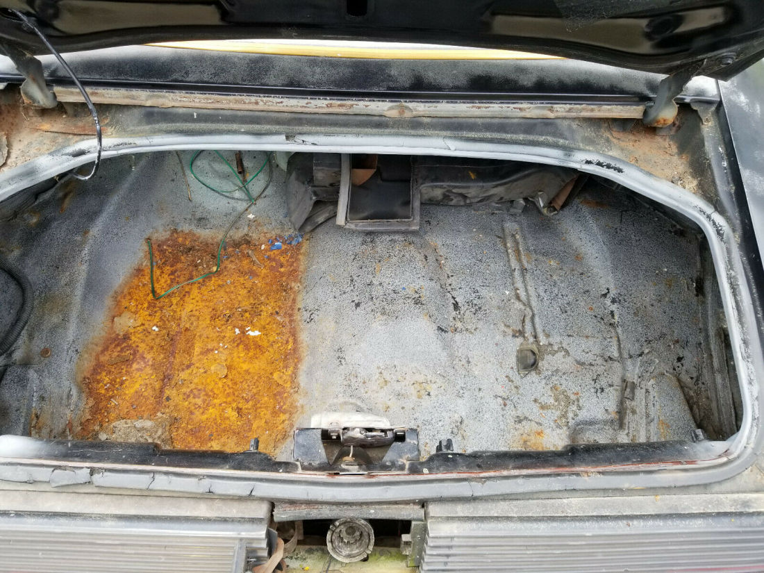 1979 Pontiac Trans Am - photo 8