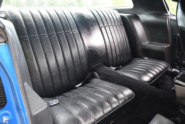 1979 Pontiac Other - photo 13
