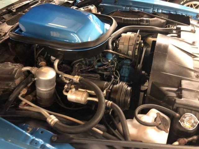 1979 Pontiac Trans Am - photo 12