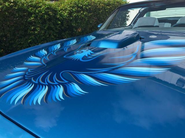 1979 Pontiac Trans Am - photo 8