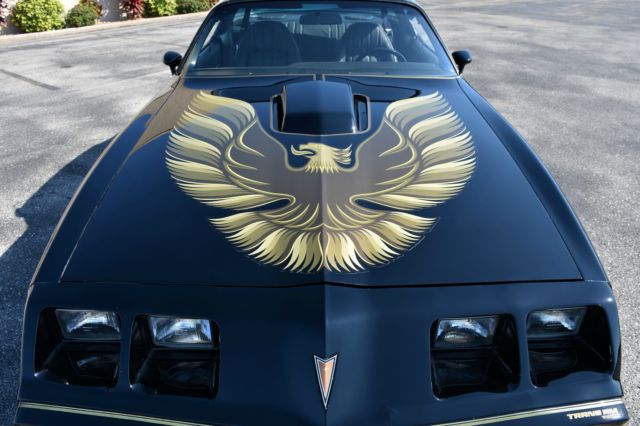 1979 Pontiac Trans Am TRANS AM - photo 12