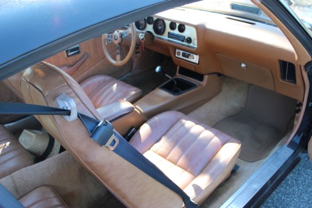 1979 Pontiac Trans Am - photo 7
