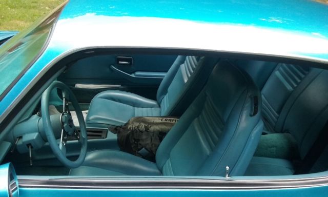 1979 Pontiac Trans Am - photo 4