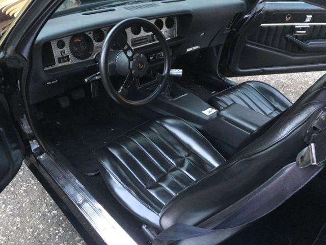 1979 Pontiac Trans Am - photo 10