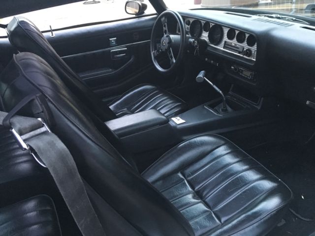 1979 Pontiac Trans Am - photo 11