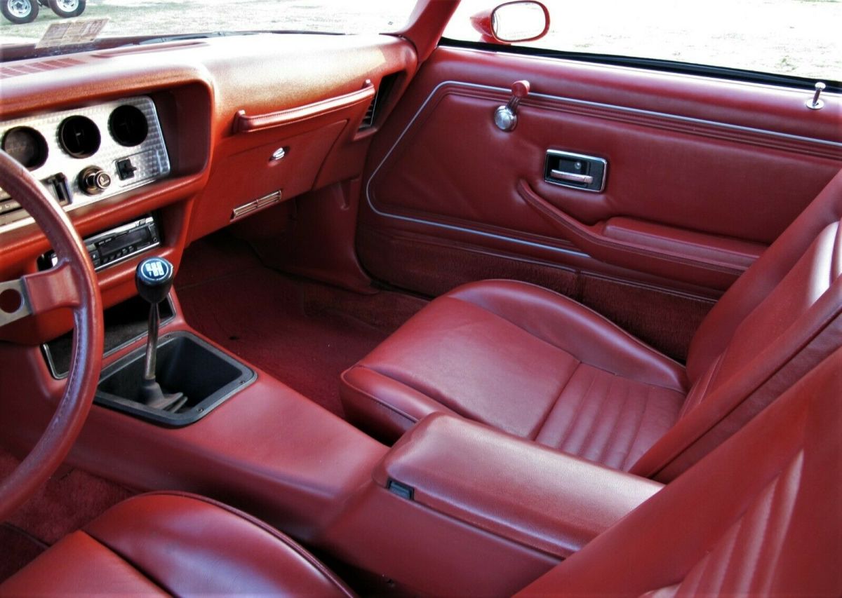 1979 Pontiac Trans Am WS6 - photo 13
