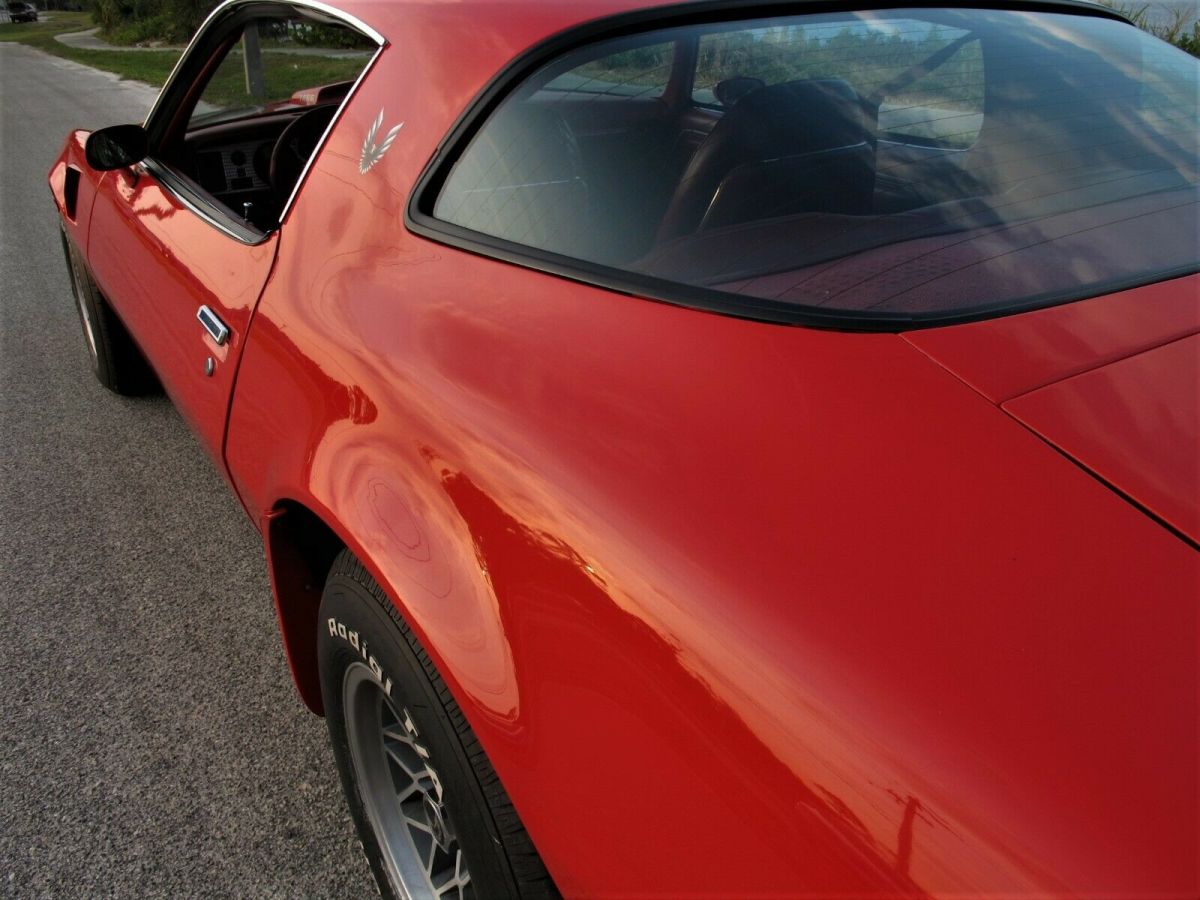 1979 Pontiac Trans Am WS6 - photo 8