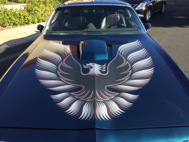 1979 Pontiac Trans Am - photo 9