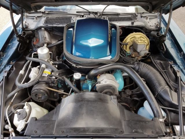 1979 Pontiac Trans Am - photo 10