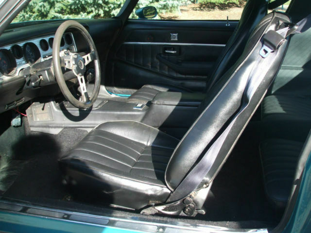1979 Pontiac Trans Am TRANS AM - photo 10