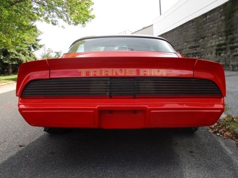 1979 Pontiac Trans Am - photo 4