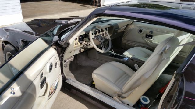1979 Pontiac Trans Am Deluxe - photo 3