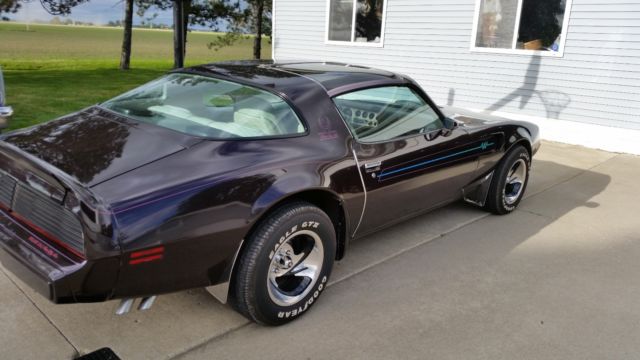 1979 Pontiac Trans Am Deluxe - photo 4