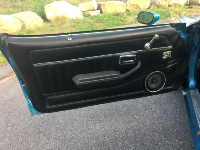 1979 Pontiac Trans Am Firebird - photo 13