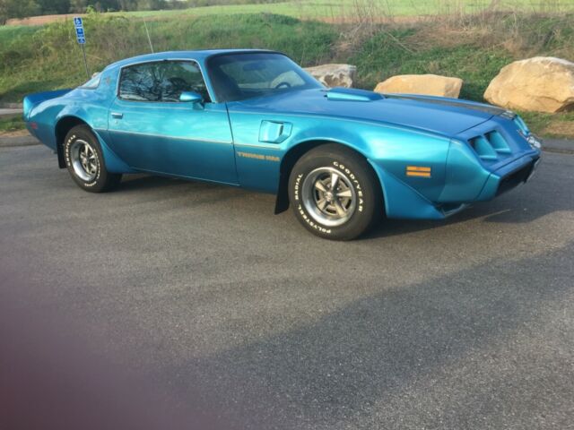 1979 Pontiac Trans Am Firebird - photo 8
