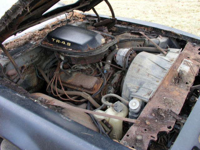 1979 Pontiac Trans Am - photo 12