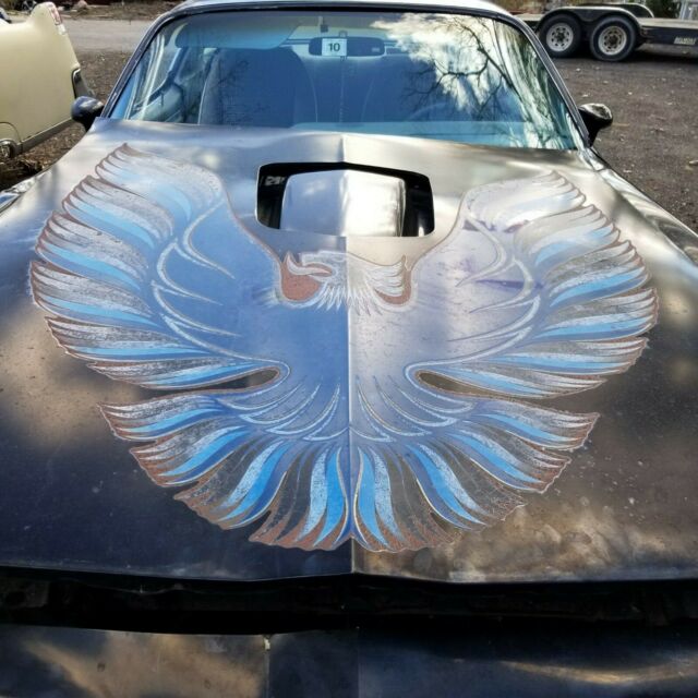 1979 Pontiac Trans Am