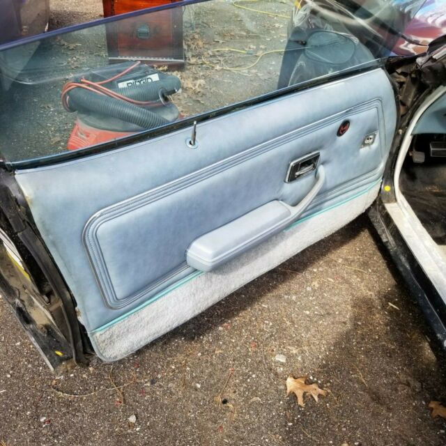 1979 Pontiac Trans Am - photo 13