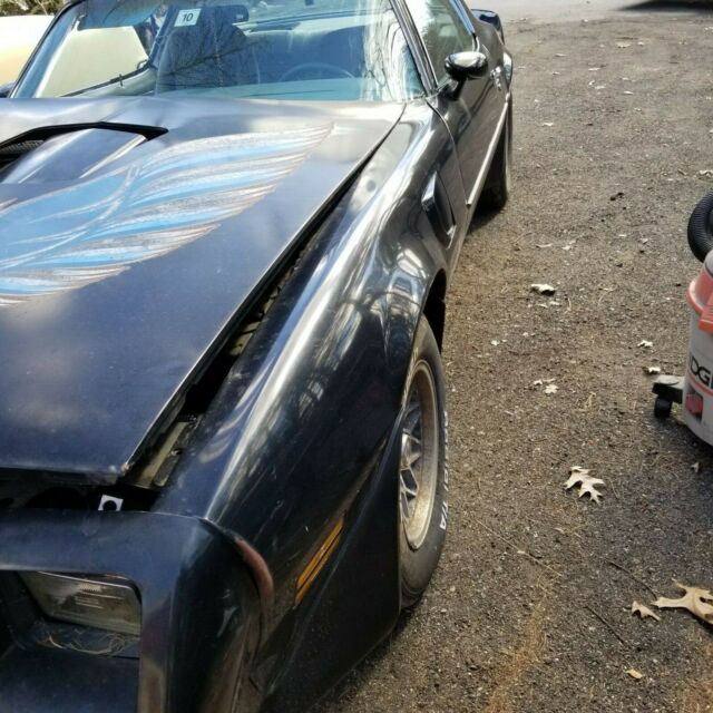 1979 Pontiac Trans Am - photo 4