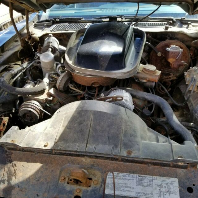 1979 Pontiac Trans Am - photo 6