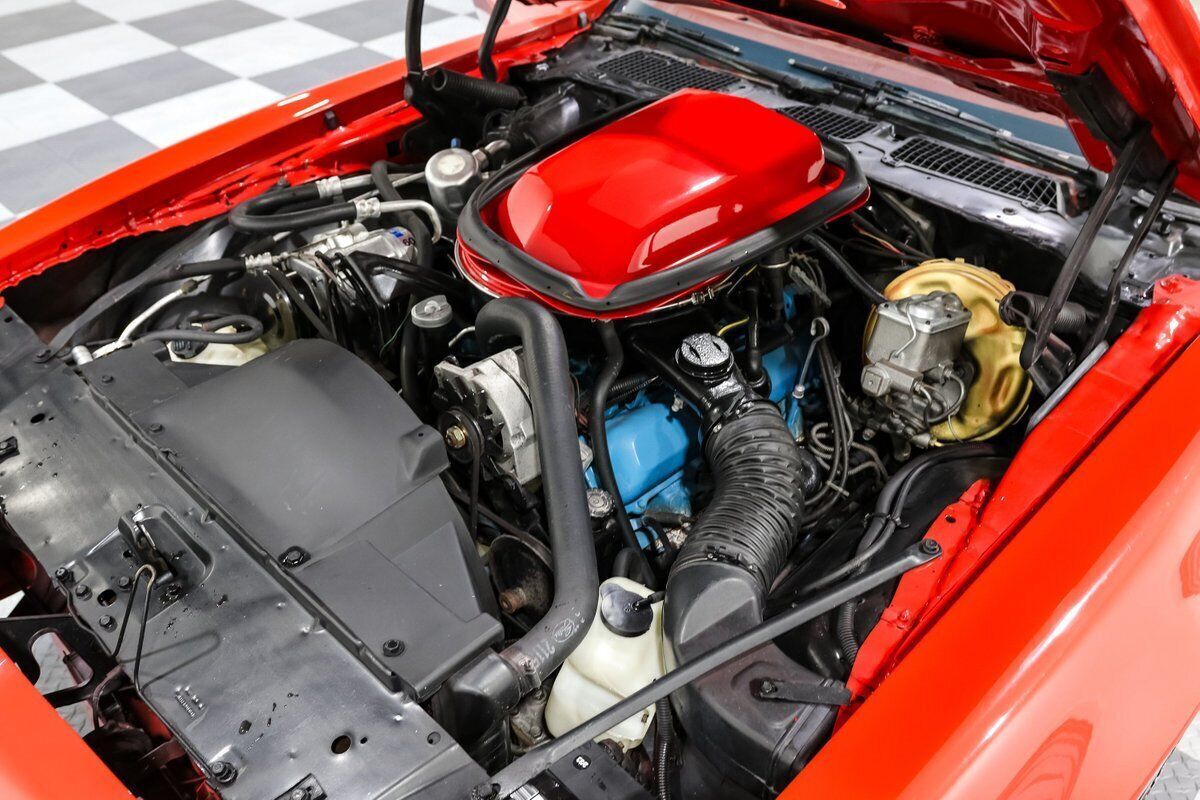 1979 Pontiac Trans Am - photo 12