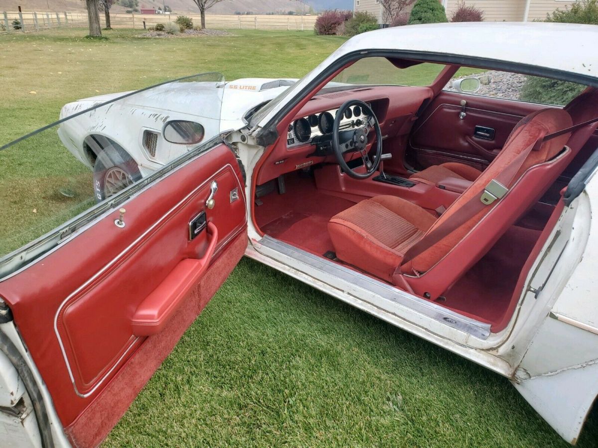 1979 Pontiac Trans Am - photo 13