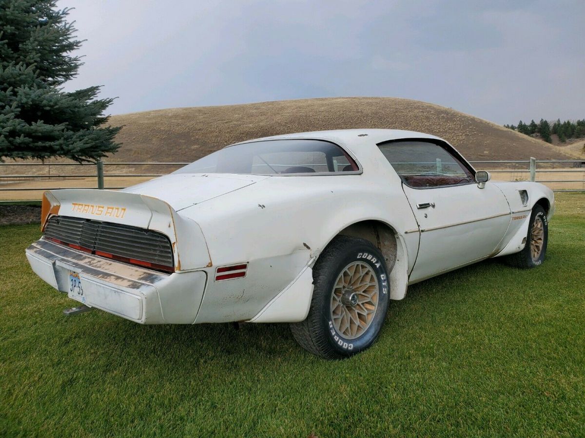 1979 Pontiac Trans Am - photo 3