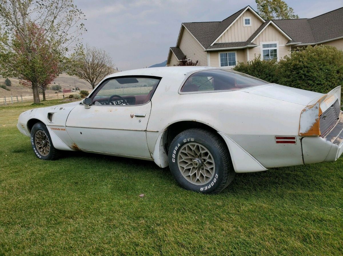 1979 Pontiac Trans Am - photo 5