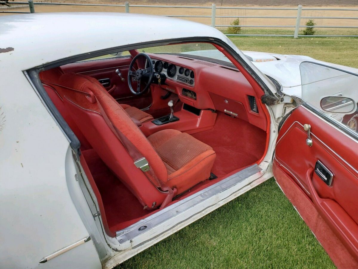 1979 Pontiac Trans Am - photo 8