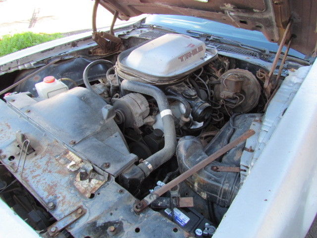 1979 Pontiac Trans Am Trans Am - photo 11