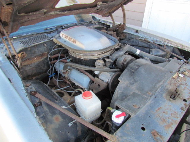 1979 Pontiac Trans Am Trans Am - photo 12