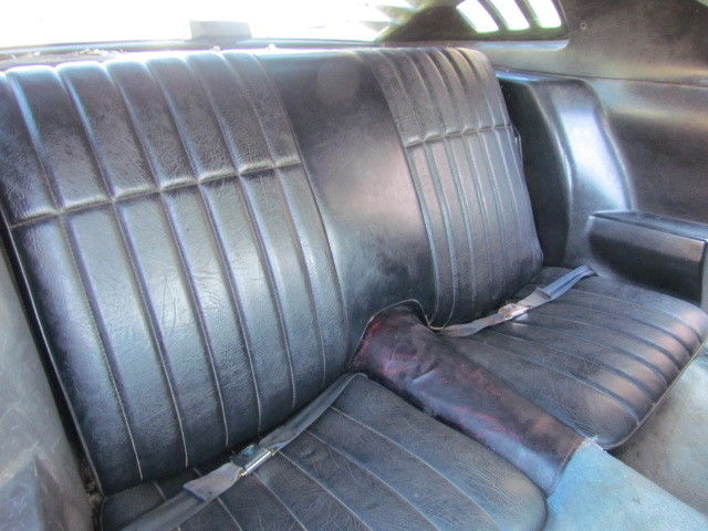 1979 Pontiac Trans Am Trans Am - photo 9