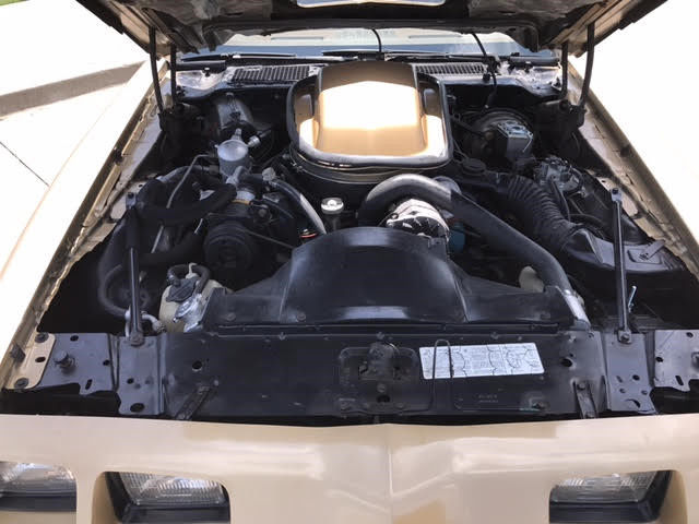 1979 Pontiac Trans Am - photo 8