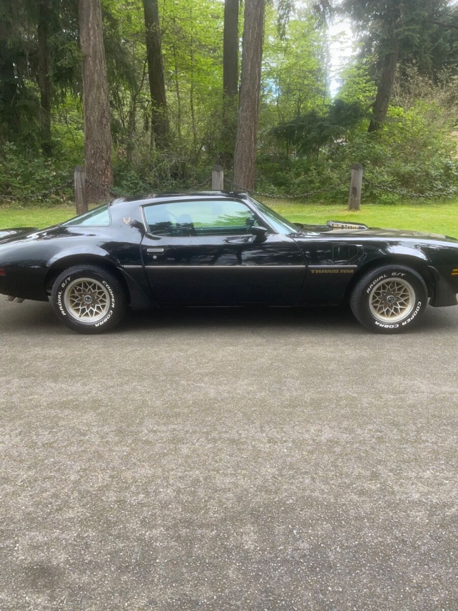 1979 Pontiac Trans Am - photo 10