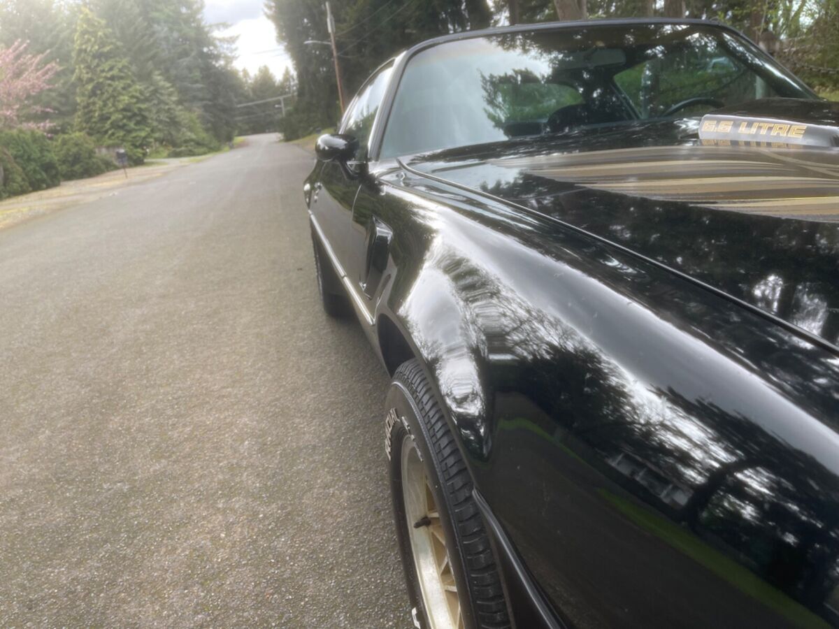 1979 Pontiac Trans Am - photo 11
