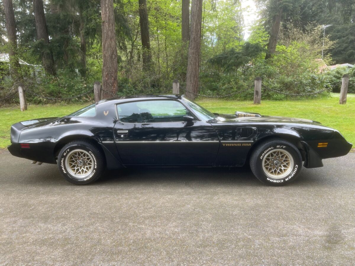 1979 Pontiac Trans Am - photo 6