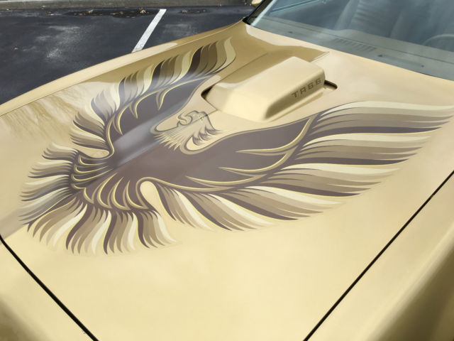 1979 Pontiac Trans Am - photo 10