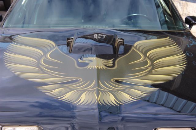 1979 Pontiac Trans Am - photo 2