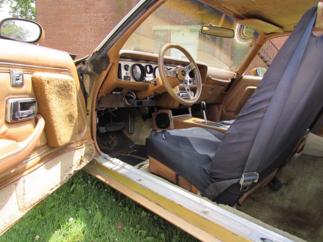 1979 Pontiac Trans Am - photo 10