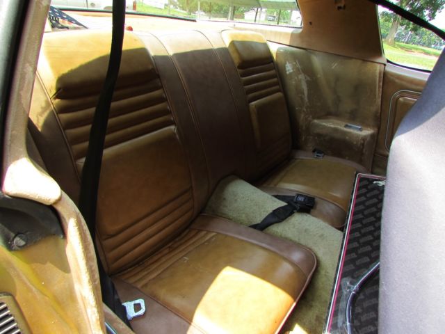 1979 Pontiac Trans Am - photo 12