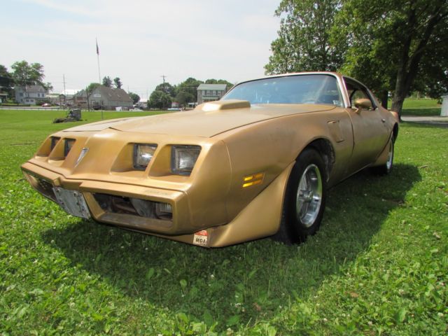 1979 Pontiac Trans Am - photo 4
