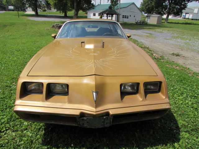 1979 Pontiac Trans Am - photo 5