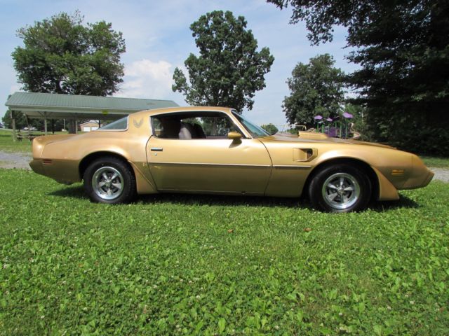 1979 Pontiac Trans Am - photo 6