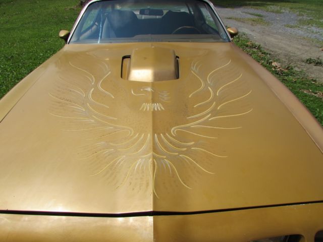 1979 Pontiac Trans Am - photo 7
