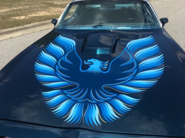 1979 Pontiac Trans Am - photo 6